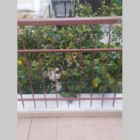 Appto Limone Apartman Lido di Ostia Kültér fotó