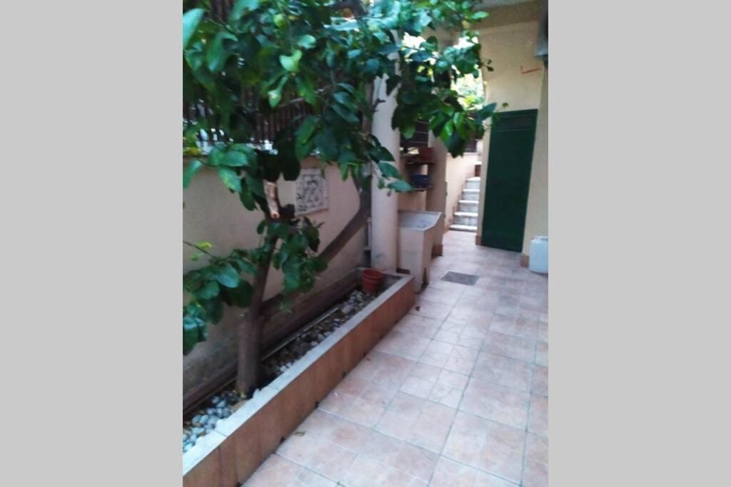 Appto Limone Apartman Lido di Ostia Kültér fotó