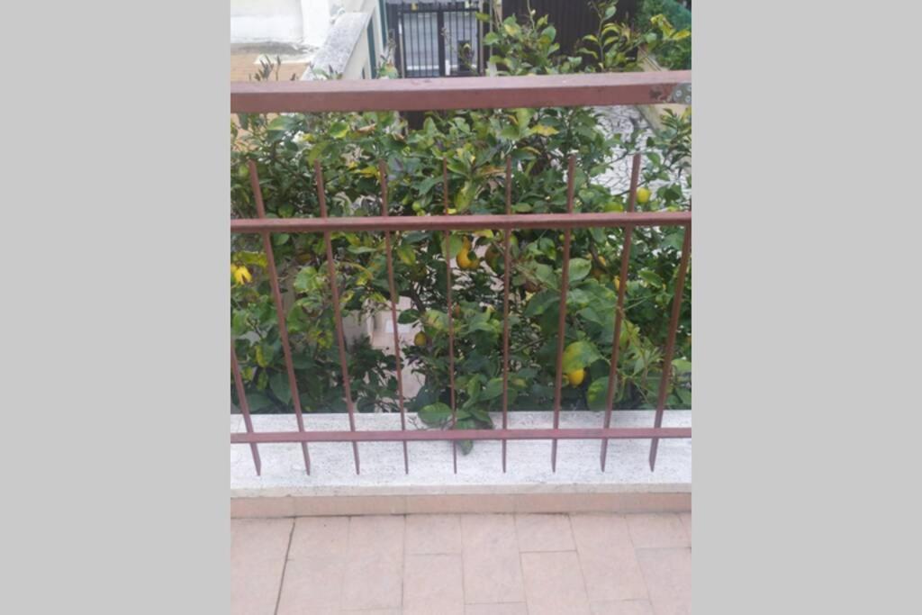 Appto Limone Apartman Lido di Ostia Kültér fotó